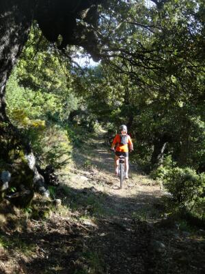 VTT FFC 9 : Fiuminale - © OTIRB