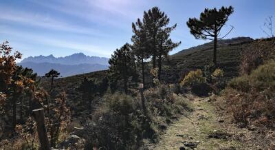 VTT-FFC 10 : Maltiola - © OTIRB