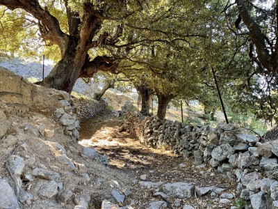 Trail 12 : Giru Bocca Battaglia - Olmi-Cappella - © OTIRB