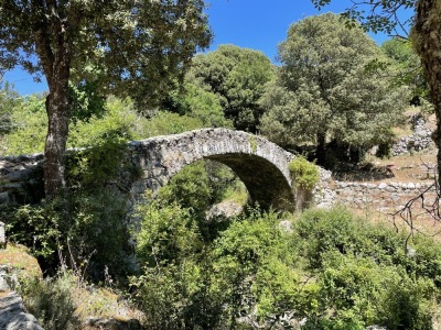 Trail 13 : Cima di San Parteo - © OTIRB