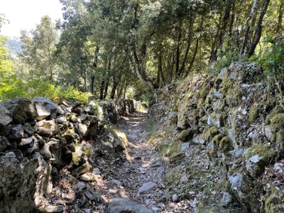 Trail 13 : Cima di San Parteo - © OTIRB