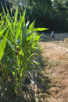 Photo prise liée au parcours