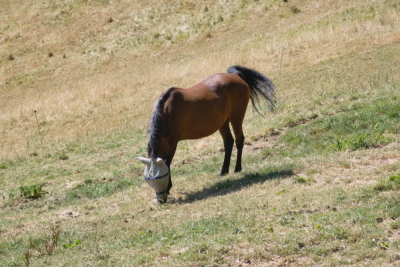 Photo prise liée au parcours