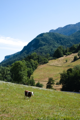 Photo prise liée au parcours