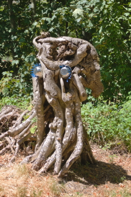 Photo prise liée au parcours