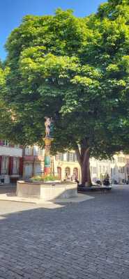 Etape 1 : Bienne-Twann-Ligerz-La Neuveville - Bienne - Photo 3