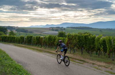 9. Au fil des Champs - Romanswiller - Photo 1