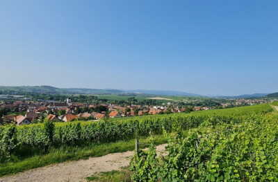 5. Mossig Kochersberg - Romanswiller - Photo 1