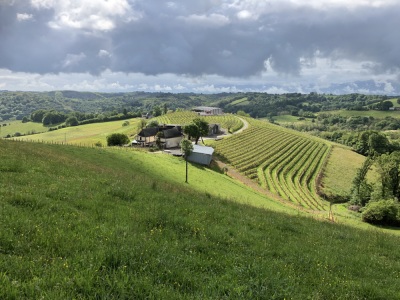#GVL  DirtyGrapes _70km _1000D+ - Lucq-de-Béarn - Photo 2
