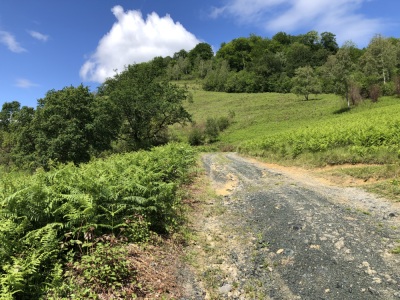 #GVL  LaEtcheOne _25km_400D+ - Oloron-Sainte-Marie - Photo 3