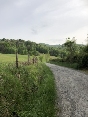 #GVL BuganguesEnFolie _60km_1100D+ - Oloron-Sainte-Marie - Photo 1