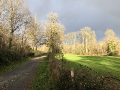 #GVL BuganguesEnFolie _60km_1100D+ - Oloron-Sainte-Marie - Photo 2