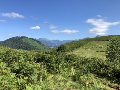 #GVL Les Mousquetaires _74km_2400D+ - Arette - Photo 2