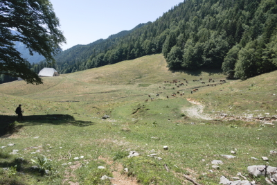 Photo prise liée au parcours