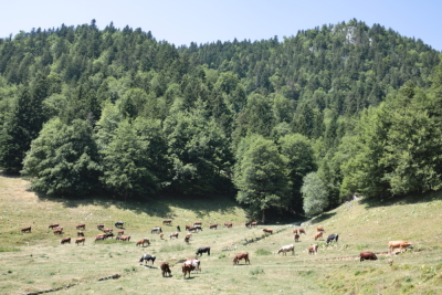 Photo prise liée au parcours