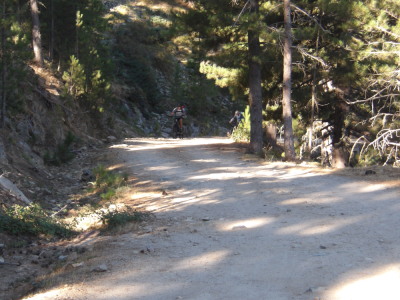 Conia et retour single 8 août 2026 - Casamaccioli - Photo 6