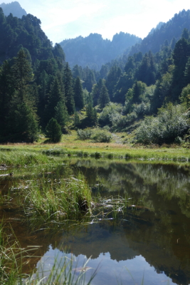 2026-08-18 ASTA MAM Chamrousse lac des Pourettes - Saint-Martin-d'Uriage - Photo 16