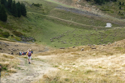 2026-08-18 ASTA MAM Chamrousse lac des Pourettes - Saint-Martin-d'Uriage - Photo 20