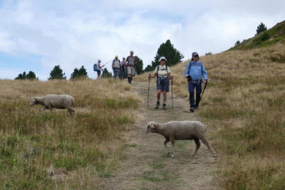 2026-08-18 ASTA MAM Chamrousse lac des Pourettes - Saint-Martin-d'Uriage - Photo 22