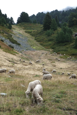 2026-08-18 ASTA MAM Chamrousse lac des Pourettes - Saint-Martin-d'Uriage - Photo 23