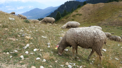2026-08-18 ASTA MAM Chamrousse lac des Pourettes - Saint-Martin-d'Uriage - Photo 26