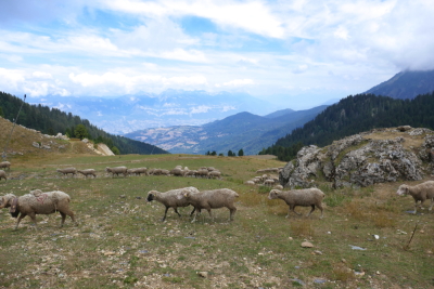 2026-08-18 ASTA MAM Chamrousse lac des Pourettes - Saint-Martin-d'Uriage - Photo 30
