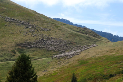2026-08-18 ASTA MAM Chamrousse lac des Pourettes - Saint-Martin-d'Uriage - Photo 29