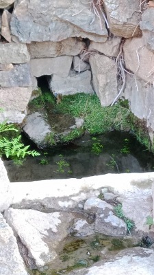 Sepula, village abandonné,  17 août 2026 - Moltifao - Photo 13