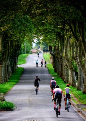 ROUTE P1 - Lézat-sur-Lèze - Photo 2