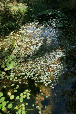 2026-08-25 ASTA La Tour Sans Venin - Fontaine - Photo 8