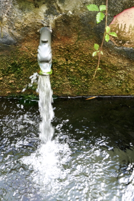 2026-08-25 ASTA La Tour Sans Venin - Fontaine - Photo 12