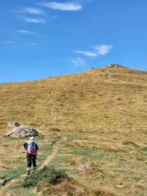 etang d'Artax le 27 08 26 - Gourbit - Photo 19