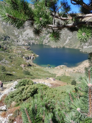 etang d'Artax le 27 08 26 - Gourbit - Photo 26