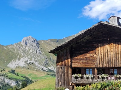 joli chalet traditionnel et le Buclon en arrière plan