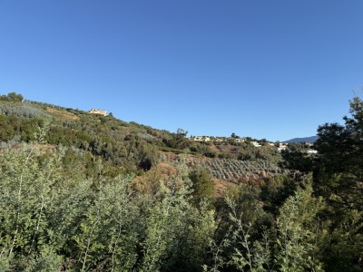 Entre mimosa et Roches Rouges (BD 100km) - Pégomas - Photo 1