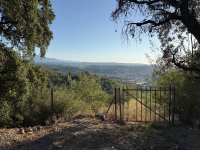 Entre mimosa et Roches Rouges (BD 100km) - Pégomas - Photo 3