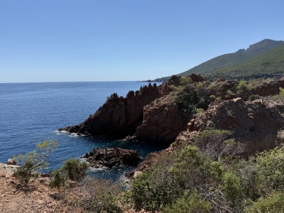 Entre mimosa et Roches Rouges (BD 100km) - Pégomas - Photo 8