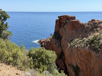 Entre mimosa et Roches Rouges (BD 100km) - Pégomas - Photo 10