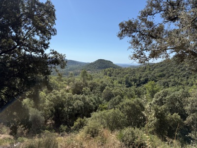 Entre mimosa et Roches Rouges (Alternatif) - Pégomas - Photo 8