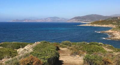 VTT FFC 12 : Saleccia - © OTIRB