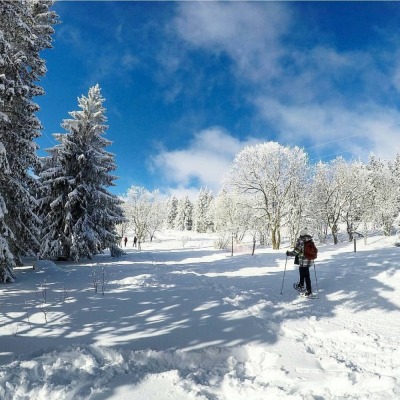 Raquettes aux Hautes-Huttes - Orbey - Photo 1
