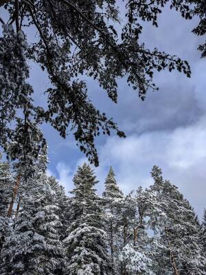 Raquettes aux Hautes-Huttes - Orbey - Photo 4