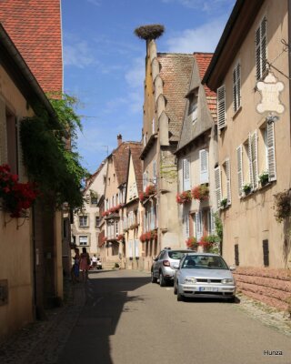 De Barr à Eichhoffen en passant par Andlau - Barr - Photo 2