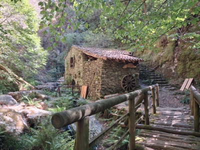les 3 moulins à partir de légrillou - Brassac - Photo 16