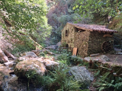les 3 moulins à partir de légrillou - Brassac - Photo 19