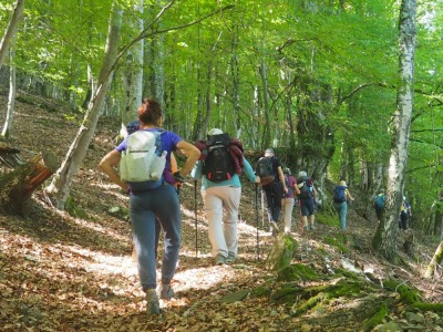 les 3 moulins à partir de légrillou - Brassac - Photo 22