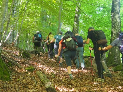 les 3 moulins à partir de légrillou - Brassac - Photo 23