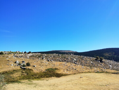 Mont Finiels - Langogne - Photo 1