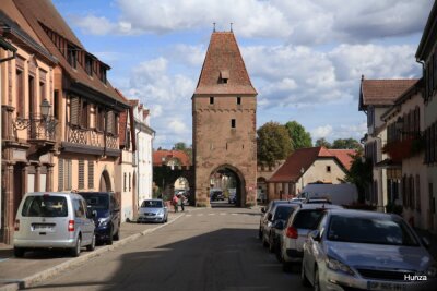 De Rosheim vers Obernai - Rosheim - Photo 2