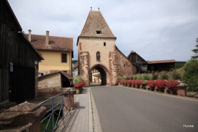 De Rosheim vers Obernai - Rosheim - Photo 7